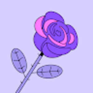 Meet your Posher, Sadie